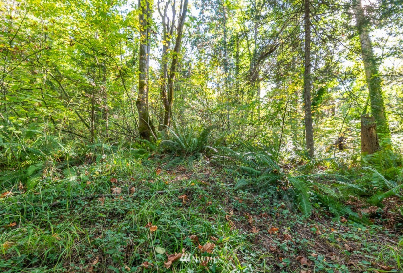 20588 Western, Indianola, Washington 98342, 2 Bedrooms Bedrooms, ,1 BathroomBathrooms,Residential,For Sale,Western,NWM1850392