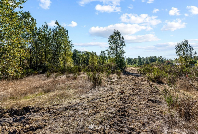 126 Chelsea, Castle Rock, Washington 98611, ,Land,For Sale,Chelsea,NWM1845264