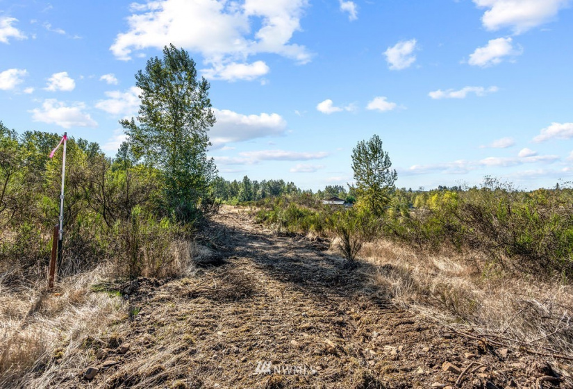 126 Chelsea, Castle Rock, Washington 98611, ,Land,For Sale,Chelsea,NWM1845264
