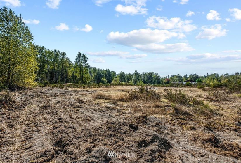 126 Chelsea, Castle Rock, Washington 98611, ,Land,For Sale,Chelsea,NWM1845264