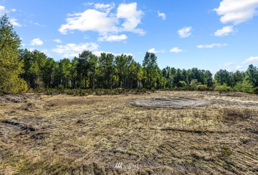 126 Chelsea, Castle Rock, Washington 98611, ,Land,For Sale,Chelsea,NWM1845264