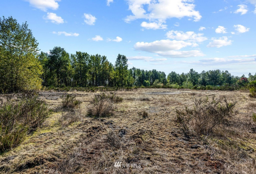 126 Chelsea, Castle Rock, Washington 98611, ,Land,For Sale,Chelsea,NWM1845264