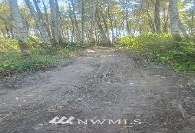 126 Chelsea, Castle Rock, Washington 98611, ,Land,For Sale,Chelsea,NWM1845264