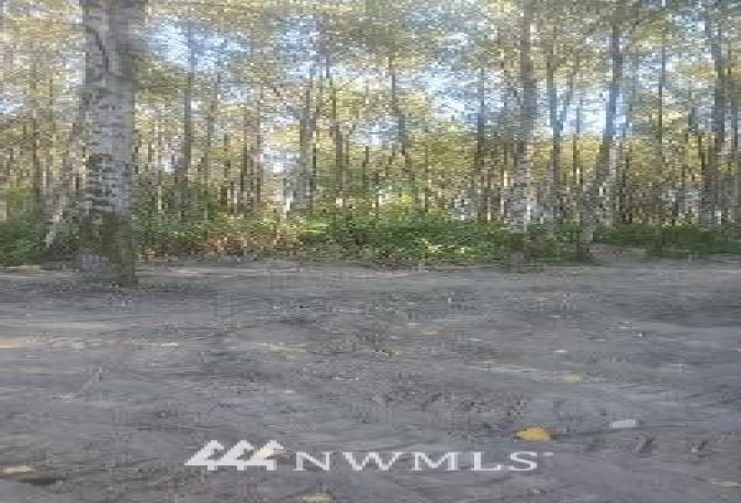 126 Chelsea, Castle Rock, Washington 98611, ,Land,For Sale,Chelsea,NWM1845264