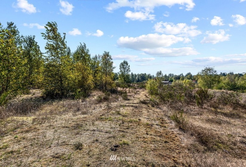 126 Chelsea, Castle Rock, Washington 98611, ,Land,For Sale,Chelsea,NWM1845264