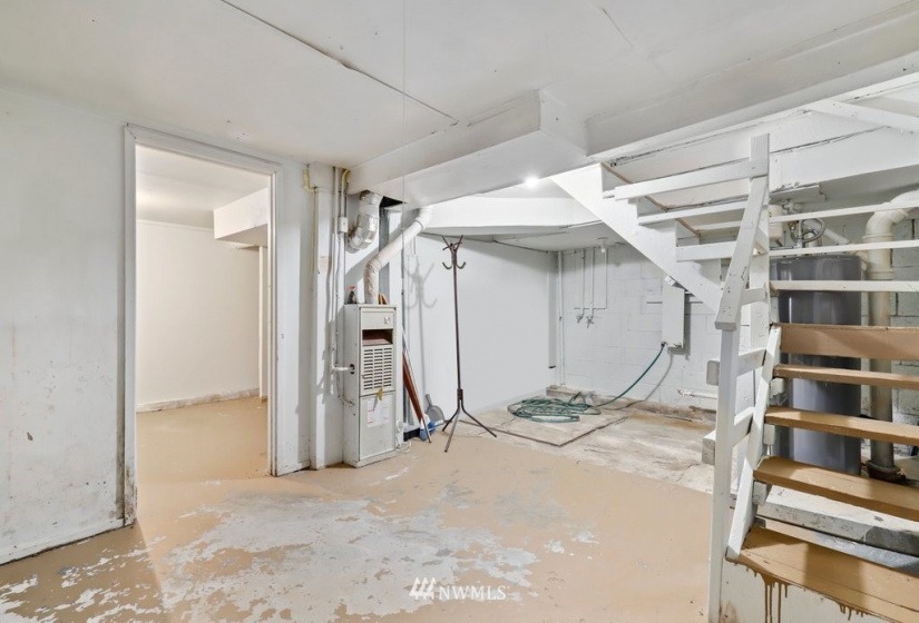 3323 Graham, Seattle, Washington 98118, ,Land,For Sale,Graham,NWM1850651