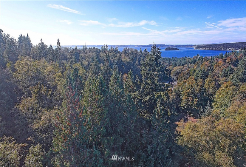 954 Valerie, Camano Island, Washington 98282, ,Land,For Sale,Valerie,NWM1850852