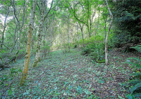 954 Valerie, Camano Island, Washington 98282, ,Land,For Sale,Valerie,NWM1850852