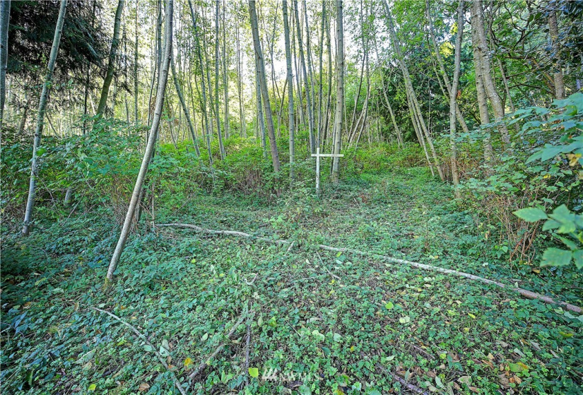 954 Valerie, Camano Island, Washington 98282, ,Land,For Sale,Valerie,NWM1850852