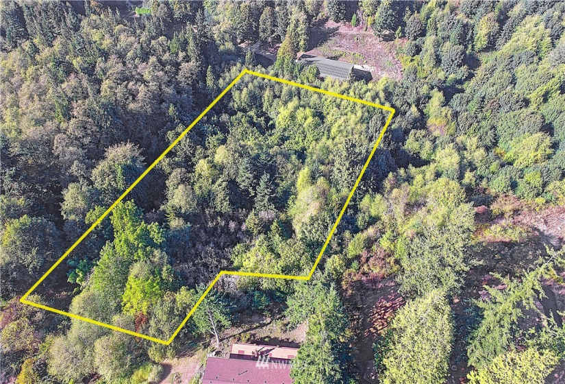 954 Valerie, Camano Island, Washington 98282, ,Land,For Sale,Valerie,NWM1850852