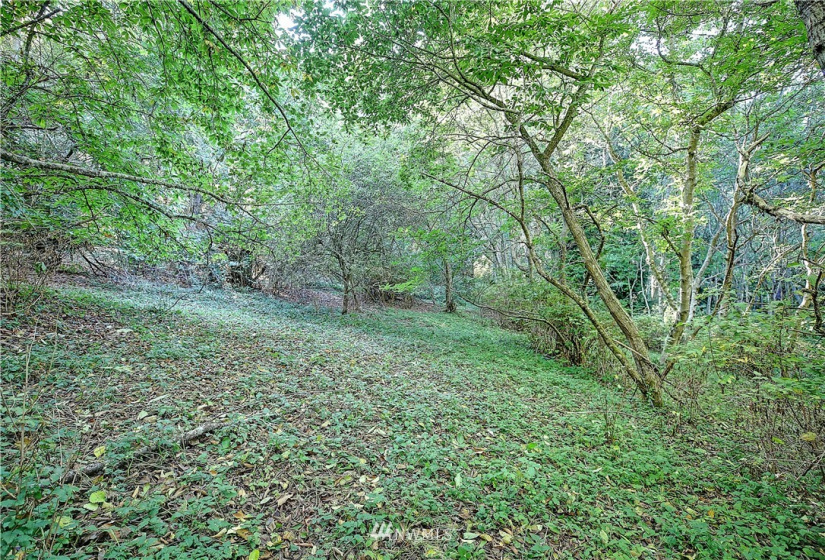 954 Valerie, Camano Island, Washington 98282, ,Land,For Sale,Valerie,NWM1850852