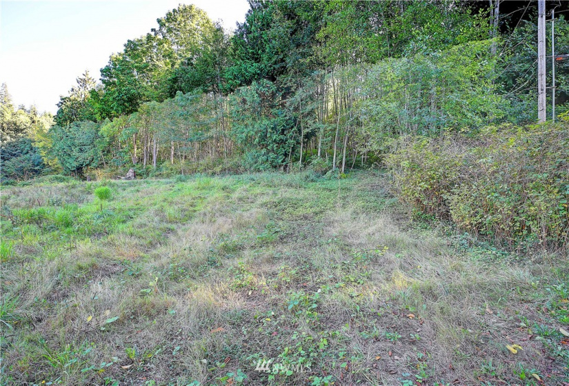 954 Valerie, Camano Island, Washington 98282, ,Land,For Sale,Valerie,NWM1850852