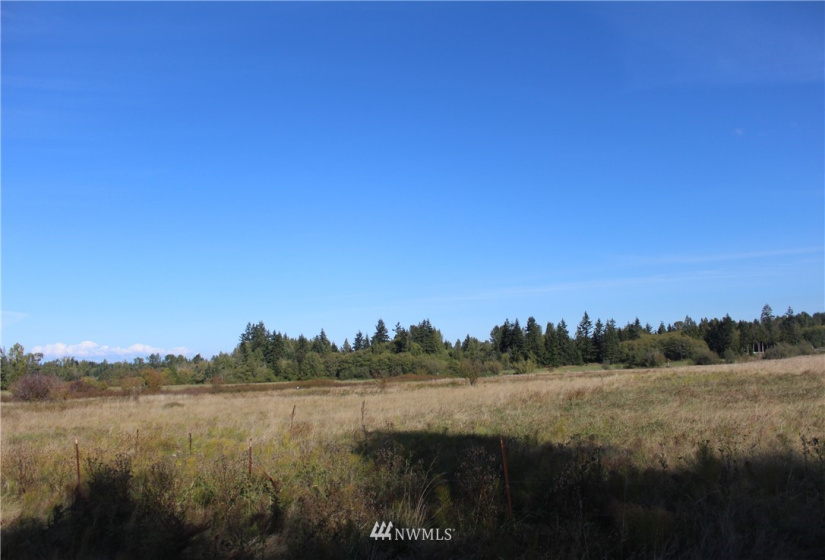 262 Laird, Port Angeles, Washington 98363, ,Land,For Sale,Anderson LGLT SBDVVI,Laird,NWM1851059