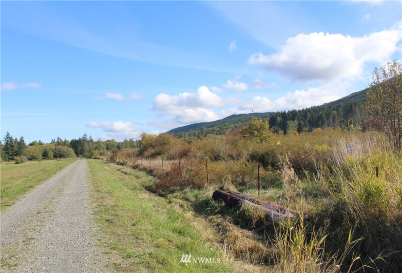 262 Laird, Port Angeles, Washington 98363, ,Land,For Sale,Anderson LGLT SBDVVI,Laird,NWM1851059