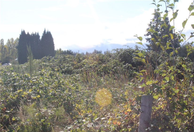 262 Laird, Port Angeles, Washington 98363, ,Land,For Sale,Anderson LGLT SBDVVI,Laird,NWM1851059