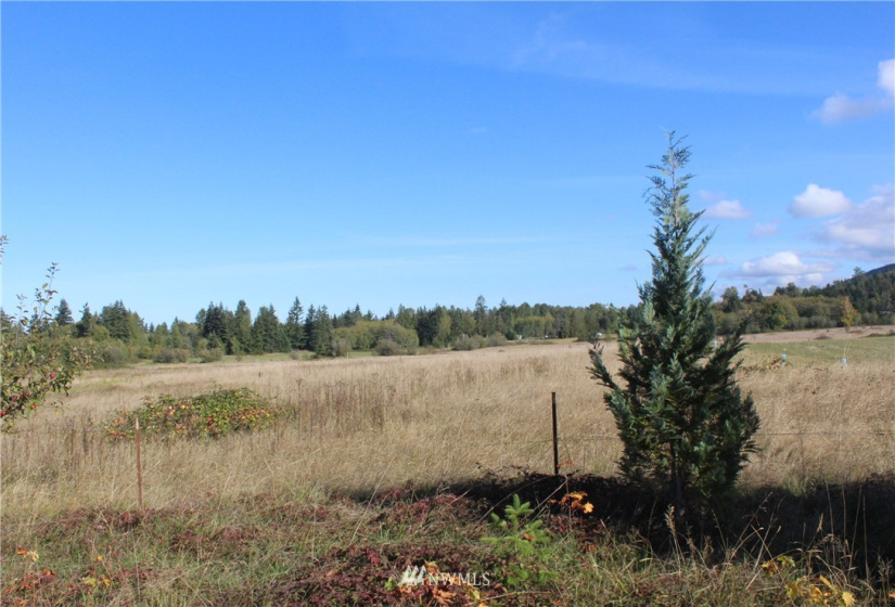 262 Laird, Port Angeles, Washington 98363, ,Land,For Sale,Anderson LGLT SBDVVI,Laird,NWM1851059