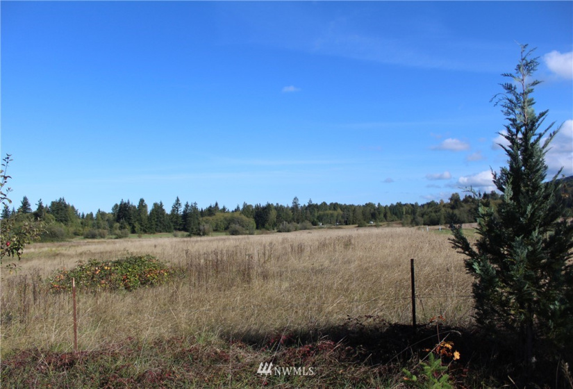 262 Laird, Port Angeles, Washington 98363, ,Land,For Sale,Anderson LGLT SBDVVI,Laird,NWM1851059