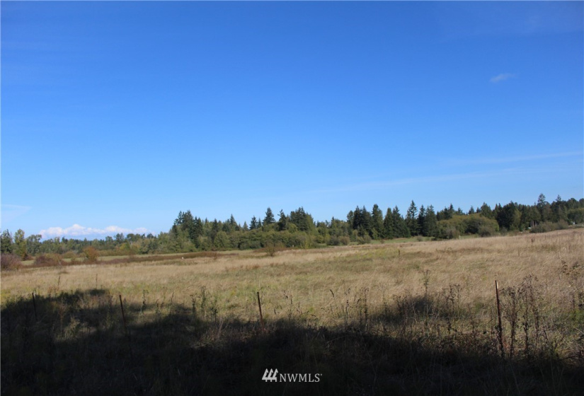 262 Laird, Port Angeles, Washington 98363, ,Land,For Sale,Anderson LGLT SBDVVI,Laird,NWM1851059