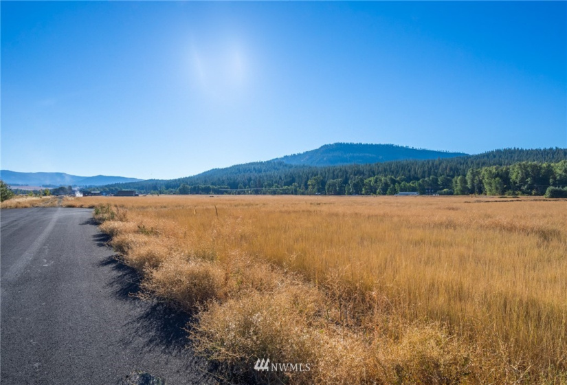 520 Lot E Sunny Meadows, Cle Elum, Washington 98922, 4 Bedrooms Bedrooms, ,2 BathroomsBathrooms,Residential,For Sale,Sunny Meadows,NWM1850800