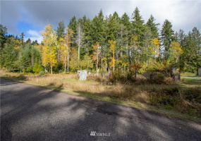 3011 Franjo Beach, Shelton, Washington 98584, ,Land,For Sale,Franjo Beach,NWM1846687