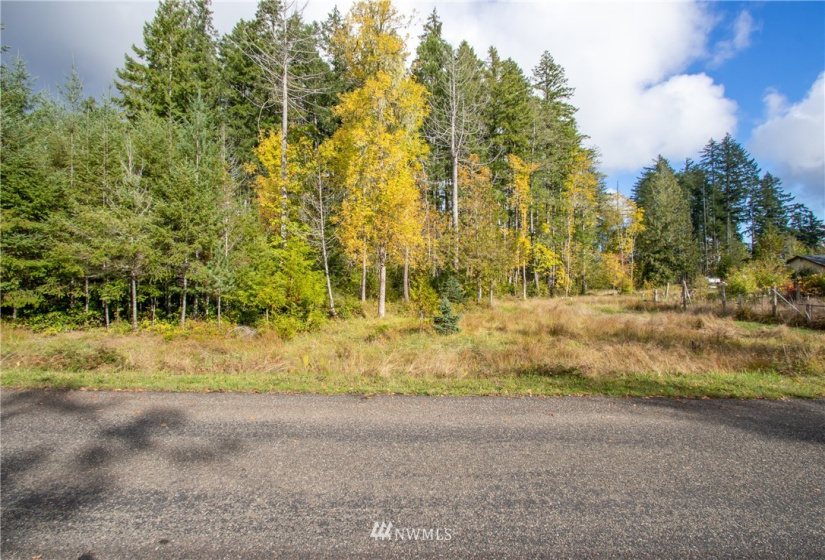 3011 Franjo Beach, Shelton, Washington 98584, ,Land,For Sale,Franjo Beach,NWM1846687