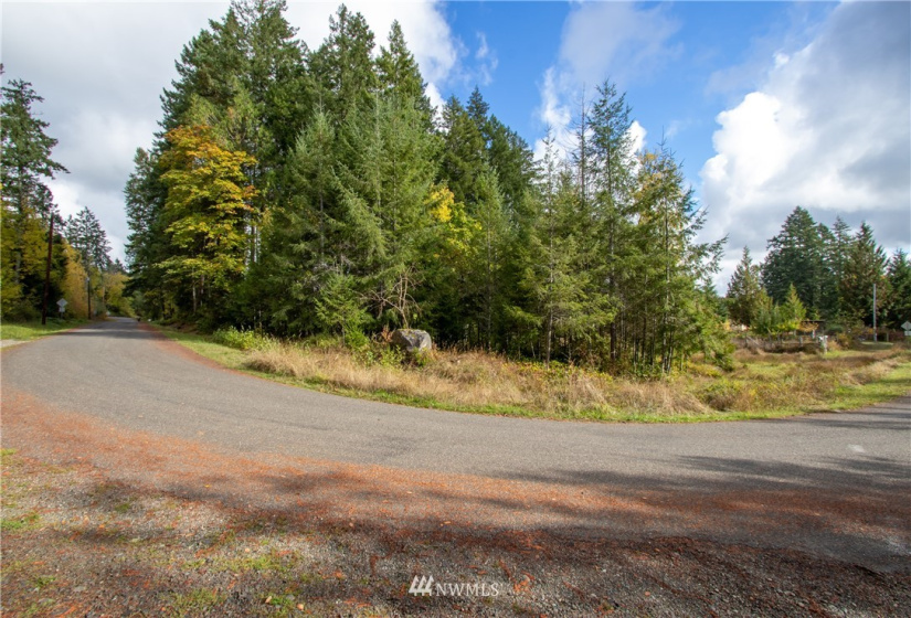 3011 Franjo Beach, Shelton, Washington 98584, ,Land,For Sale,Franjo Beach,NWM1846687