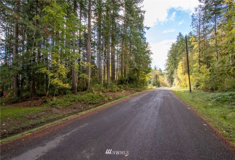 3011 Franjo Beach, Shelton, Washington 98584, ,Land,For Sale,Franjo Beach,NWM1846687