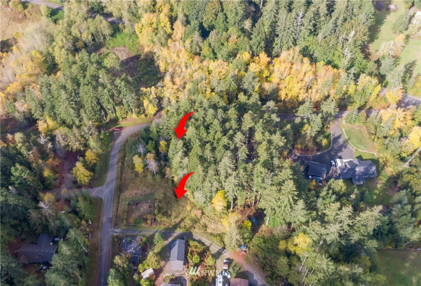 3011 Franjo Beach, Shelton, Washington 98584, ,Land,For Sale,Franjo Beach,NWM1846687