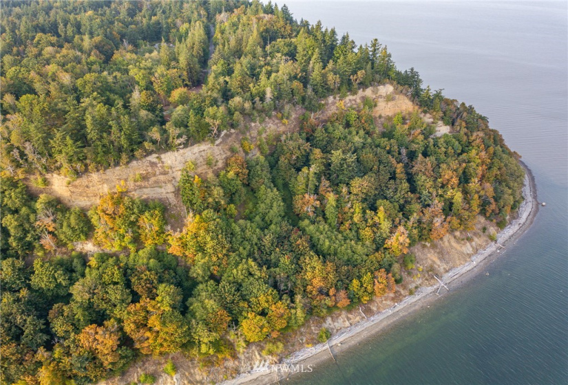 0 Lot 12 South Camano Dr, Camano Island, Washington 98282, ,Land,For Sale,Lot 12 South Camano Dr,NWM1851247