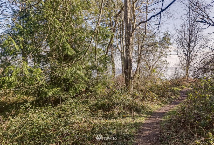 0 Lot 12 South Camano Dr, Camano Island, Washington 98282, ,Land,For Sale,Lot 12 South Camano Dr,NWM1851247