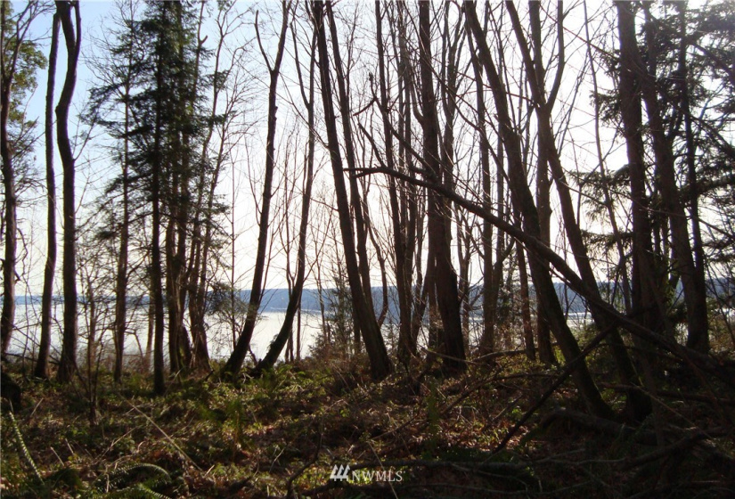 0 Lot 12 South Camano Dr, Camano Island, Washington 98282, ,Land,For Sale,Lot 12 South Camano Dr,NWM1851247
