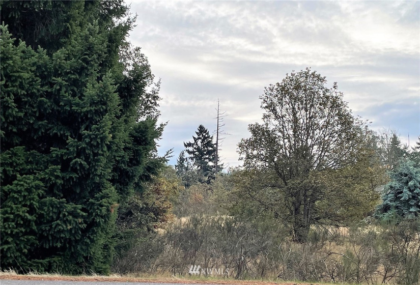 601 Binghampton, Rainier, Washington 98576, ,Residential,For Sale,Binghampton,NWM1850615