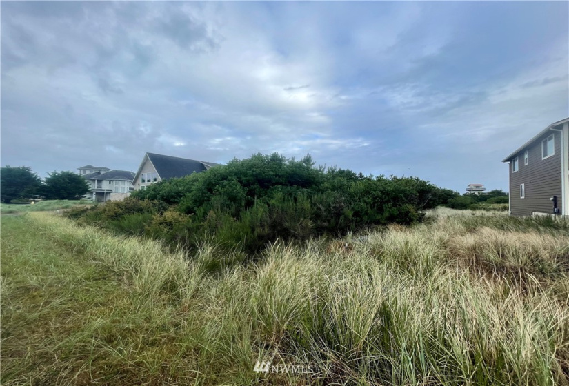 956 Sea Urchin, Ocean Shores, Washington 98569, ,Land,For Sale,DIV 16,Sea Urchin,NWM1849658