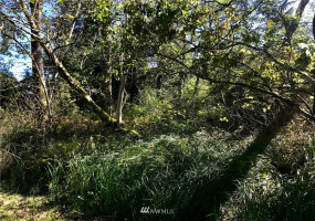 0 Hoquiam, Westport, Washington 98595, ,Land,For Sale,Grand Army,Hoquiam,NWM1848108