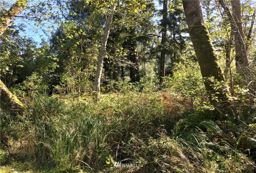 0 Hoquiam, Westport, Washington 98595, ,Land,For Sale,Grand Army,Hoquiam,NWM1848108