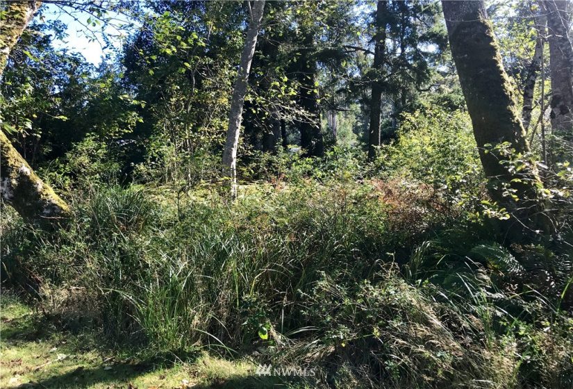 0 Hoquiam, Westport, Washington 98595, ,Land,For Sale,Grand Army,Hoquiam,NWM1848108