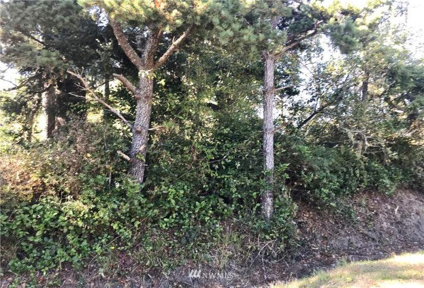 0 Hoquiam, Westport, Washington 98595, ,Land,For Sale,Grand Army,Hoquiam,NWM1848108