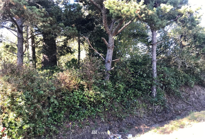 0 Hoquiam, Westport, Washington 98595, ,Land,For Sale,Grand Army,Hoquiam,NWM1848108