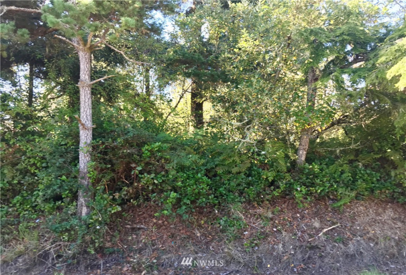 0 Hoquiam, Westport, Washington 98595, ,Land,For Sale,Grand Army,Hoquiam,NWM1848108