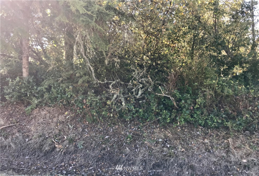 0 Hoquiam, Westport, Washington 98595, ,Land,For Sale,Grand Army,Hoquiam,NWM1848108