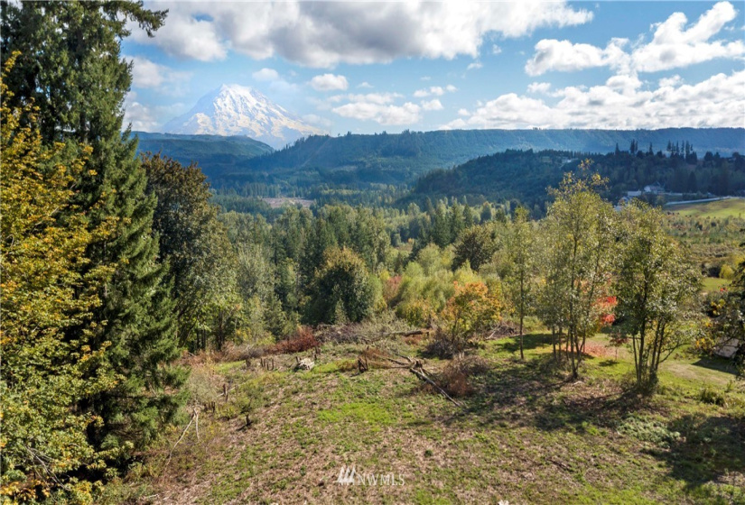 16118 274th, Graham, Washington 98338, 4 Bedrooms Bedrooms, ,3 BathroomsBathrooms,Residential,For Sale,274th,NWM1848191