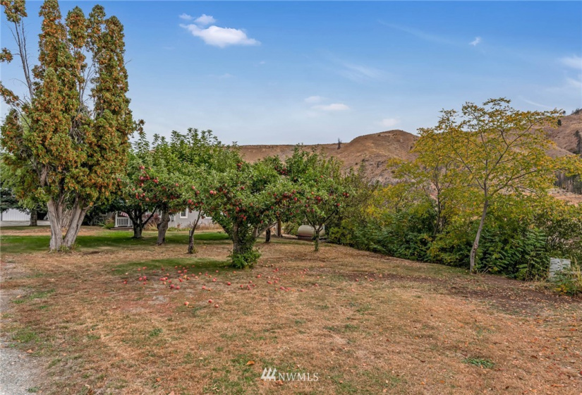 916 B Highway 153, Pateros, Washington 98846, 3 Bedrooms Bedrooms, ,2 BathroomsBathrooms,Residential,For Sale,Bolinger,Highway 153,NWM1851404