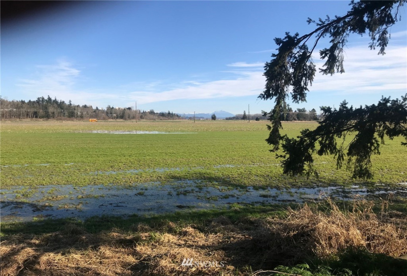 26206 Marine, Stanwood, Washington 98292, 6 Bedrooms Bedrooms, ,1 BathroomBathrooms,Residential,For Sale,Marine,NWM1851092