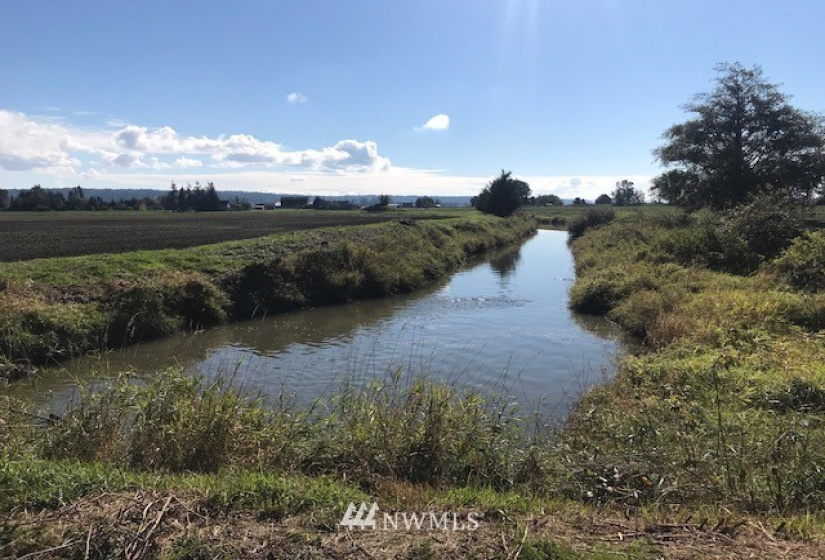 26206 Marine, Stanwood, Washington 98292, 6 Bedrooms Bedrooms, ,1 BathroomBathrooms,Residential,For Sale,Marine,NWM1851092