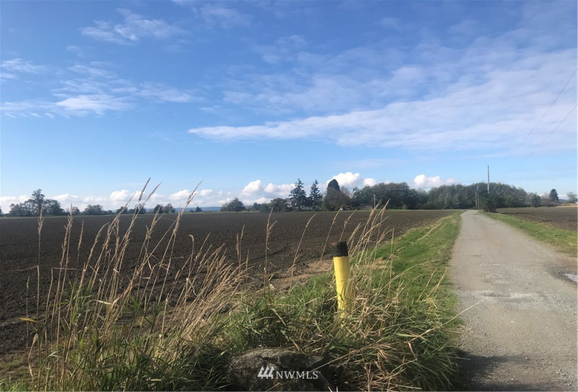 26206 Marine, Stanwood, Washington 98292, 6 Bedrooms Bedrooms, ,1 BathroomBathrooms,Residential,For Sale,Marine,NWM1851092