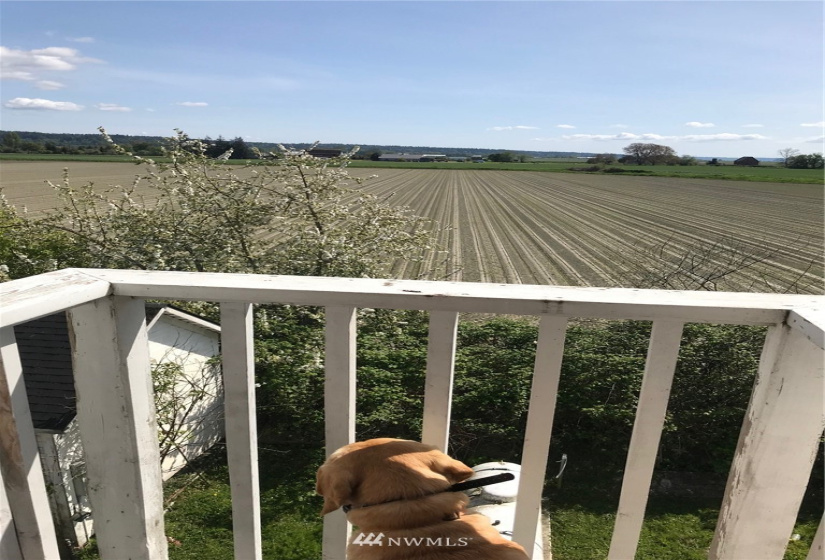 26206 Marine, Stanwood, Washington 98292, 6 Bedrooms Bedrooms, ,1 BathroomBathrooms,Residential,For Sale,Marine,NWM1851092