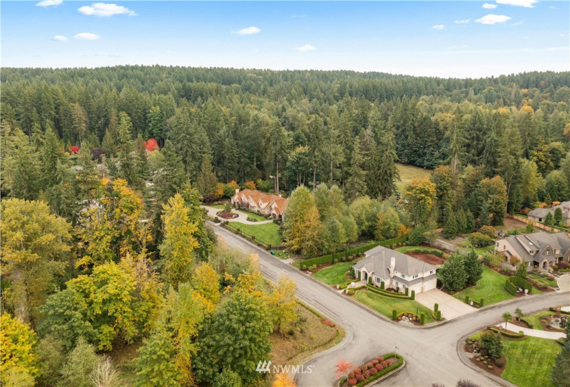 20815 126th, Woodinville, Washington 98077, 4 Bedrooms Bedrooms, ,3 BathroomsBathrooms,Residential,For Sale,126th,NWM1851458
