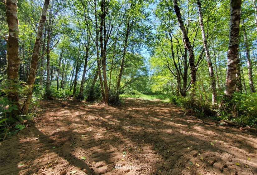 9910 Goodman Mainline Lot B, Forks, Washington 98331, ,Land,For Sale,Goodman Mainline Lot B,NWM1847088