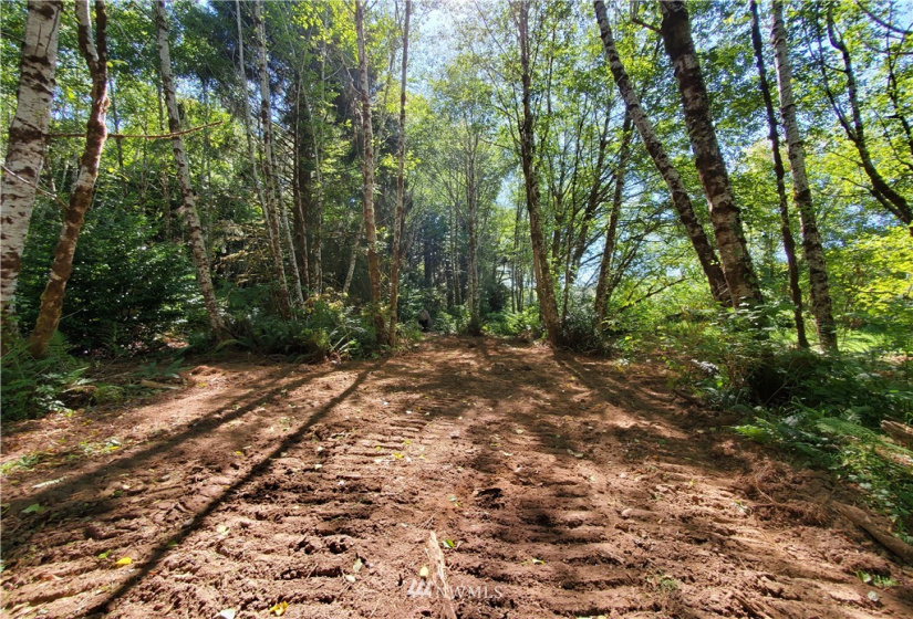 9910 Goodman Mainline Lot B, Forks, Washington 98331, ,Land,For Sale,Goodman Mainline Lot B,NWM1847088