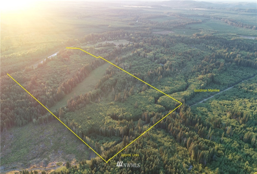 9910 Goodman Mainline Lot B, Forks, Washington 98331, ,Land,For Sale,Goodman Mainline Lot B,NWM1847088